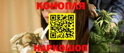 прущие грибы Можга