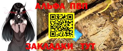 прущие грибы Можга